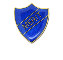 Merit Enamelled Shield Badge 17