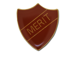 Merit Enamelled Shield Badge 27
