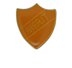 Merit Enamelled Shield Badge 25