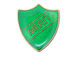 Merit Enamelled Shield Badge 18