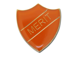 Merit Enamelled Shield Badge 22