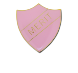 Merit Enamelled Shield Badge 21