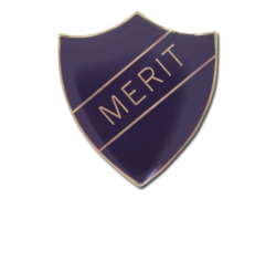 Merit Enamelled Shield Badge 19