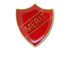 Merit Enamelled Shield Badge