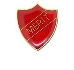 Merit Enamelled Shield Badge 15