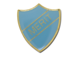 Merit Enamelled Shield Badge 23