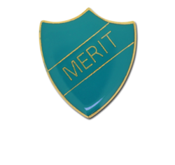 Merit Enamelled Shield Badge 28