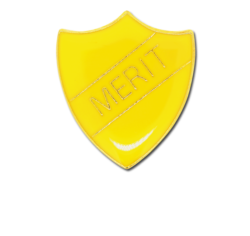 Merit Enamelled Shield Badge 16