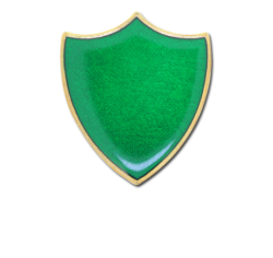 Plain Shield Enamelled Shield Badge 18