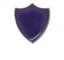 Plain Shield Enamelled Shield Badge 19