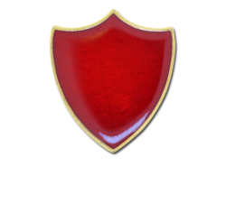 Plain Shield Enamelled Shield Badge 15