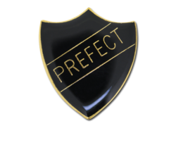 Prefect Enamelled Shield Badge 24