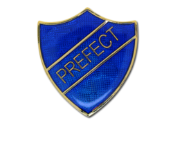 Prefect Enamelled Shield Badge 17