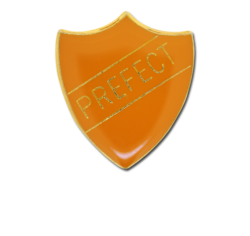Prefect Enamelled Shield Badge 25