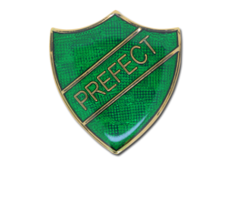 Prefect Enamelled Shield Badge 18