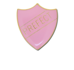 Prefect Enamelled Shield Badge 21