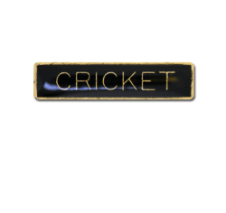 Cricket Small Bar Badge 24