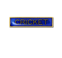 Cricket Small Bar Badge 17