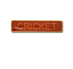 Cricket Small Bar Badge 27
