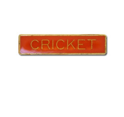 Cricket Small Bar Badge 22