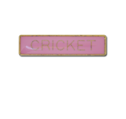 Cricket Small Bar Badge 21