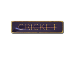 Cricket Small Bar Badge 19