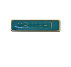 Cricket Small Bar Badge 28