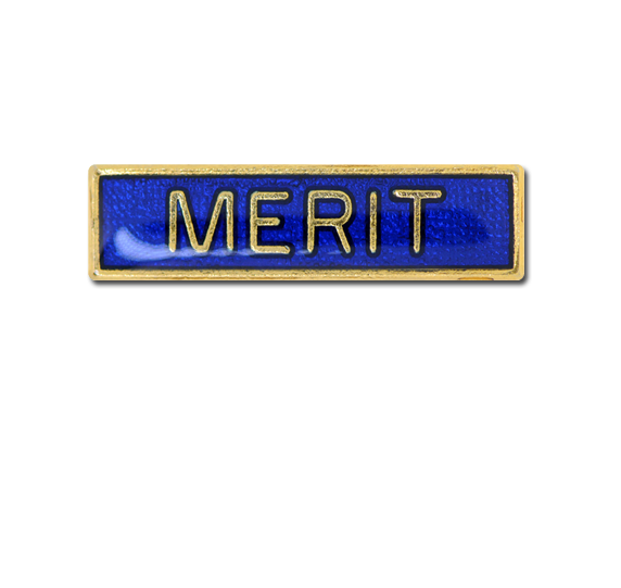 Merit Small Bar Badge 3