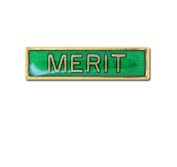 Merit Small Bar Badge 4