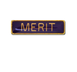 Merit Small Bar Badge 19