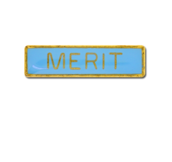 Merit Small Bar Badge 23