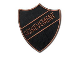 Achievement Metal Shield Badge 6