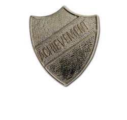 Achievement Metal Shield Badge 5