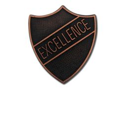 Excellence Metal Shield Badge 6