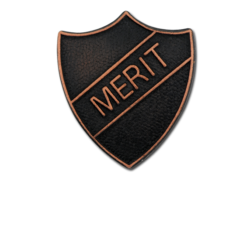 Merit Metal Shield Badge 6