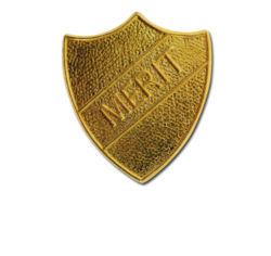 Merit Metal Shield Badge 4
