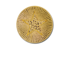 Plain Star Round Badge