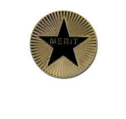 Enamelled Merit Round Badge 24