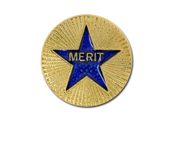 Enamelled Merit Round Badge 3