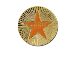 Enamelled Merit Round Badge 25