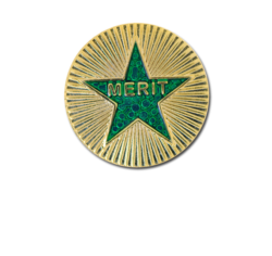 Enamelled Merit Round Badge 18