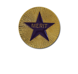 Enamelled Merit Round Badge 19