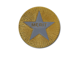 Enamelled Merit Round Badge 26