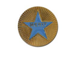 Enamelled Merit Round Badge 23