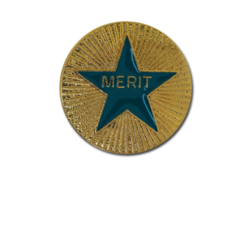 Enamelled Merit Round Badge 28