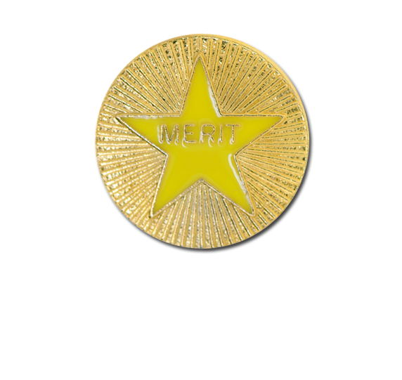 Enamelled Merit Round Badge 2