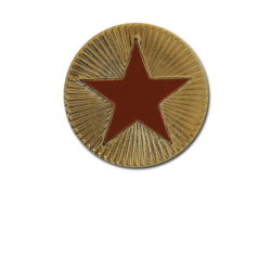 Enamelled Plain Star Round Badge 27