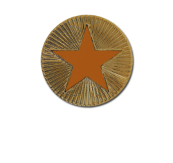 Enamelled Plain Star Round Badge 25