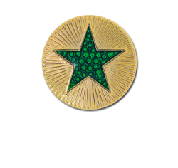 Enamelled Plain Star Round Badge 18