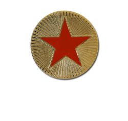 Enamelled Plain Star Round Badge 22